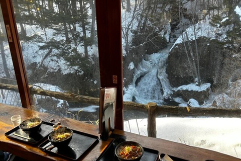 东京出发：日光私人导览之旅含午餐