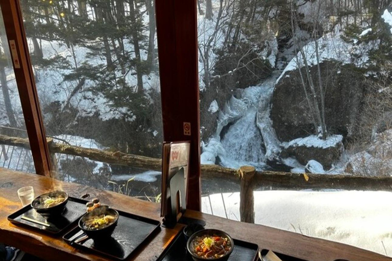 东京出发：日光私人导览之旅含午餐