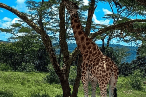 Nakuru: 3 Days Lake Nakuru National Park