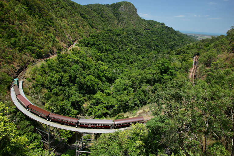 Cairns: Tour en grupo reducido - Kuranda en autobús y tren panorámico