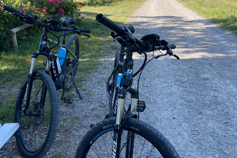 Baden-Baden: Private e-Mountainbike Tour with local Guide