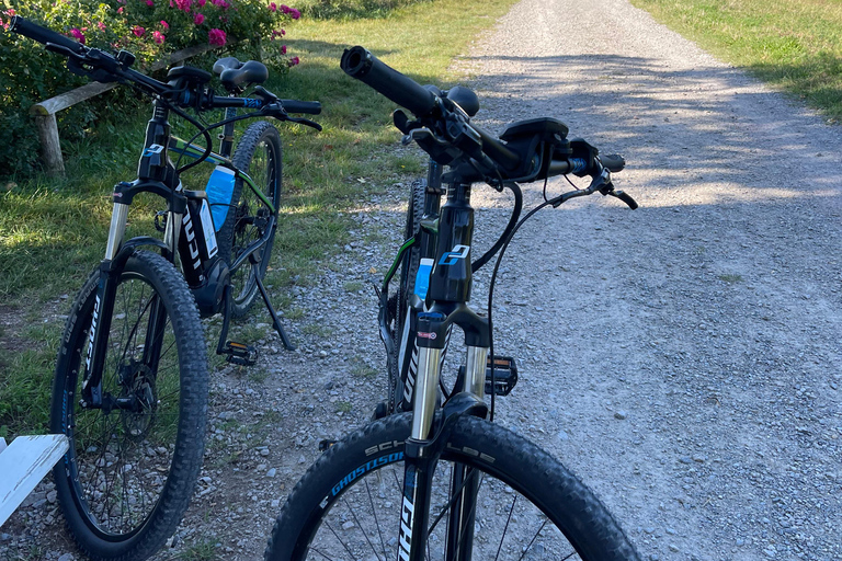 Baden-Baden: Private e-Mountainbike Tour with local Guide
