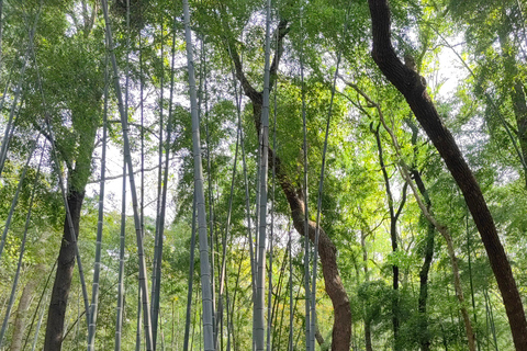 Hangzhou: Customized Tour with Local Guide