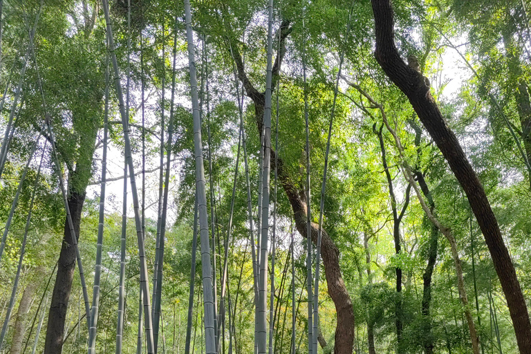 Hangzhou: Customized Tour with Local Guide