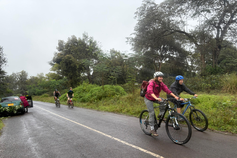 From Moshi: Kilimanjaro Mweka Gate Guided Cycling Tour