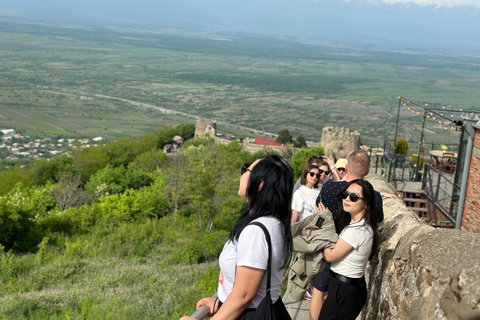 Tbilisi: tour della regione vinicola di Kakheti con 8 degustazioni di vino