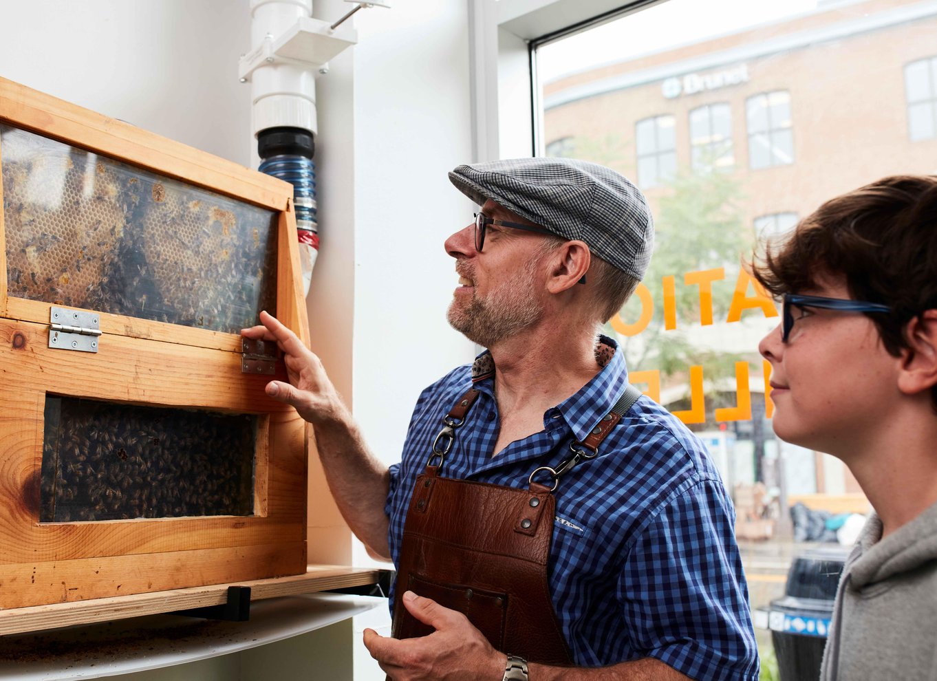 Quebec City: Honning- og destilleritur med smagning