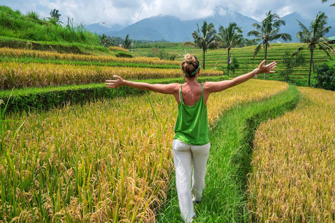 Ubud Silver Klass: Smid din personliga minnessak i silverService för flygtransfer!