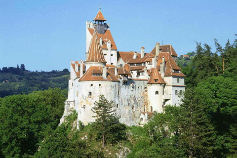 From Brașov: Bear Sanctuary, Dracula's Castle & Peleș Castle