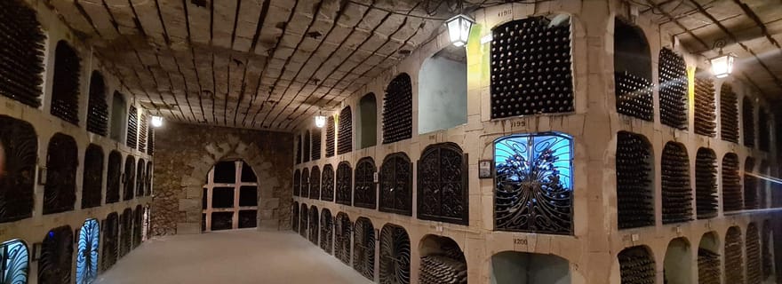 Depuis Chisinau : visite des vignobles de Cricova et de Milestii Mici