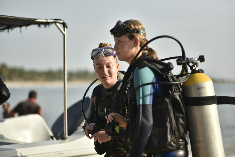 Mirissa: Private Eco Turtle Snorkelling Tour & Photography