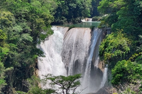 Desde Palenque: Excursión Privada a la Cascada de El Salto