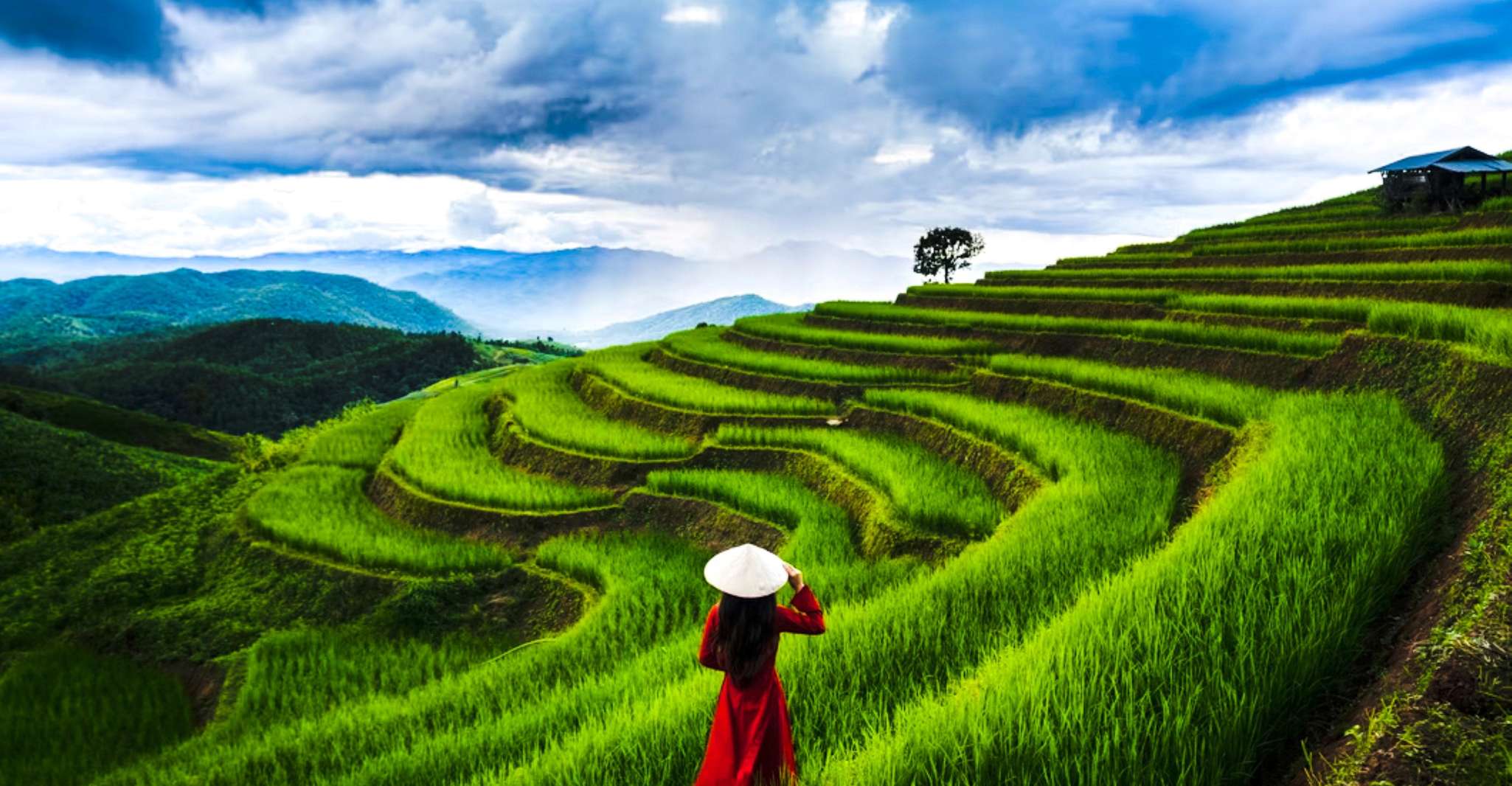 Bali, Heaven Swing, Beratan temple, Rice Terrace - Housity