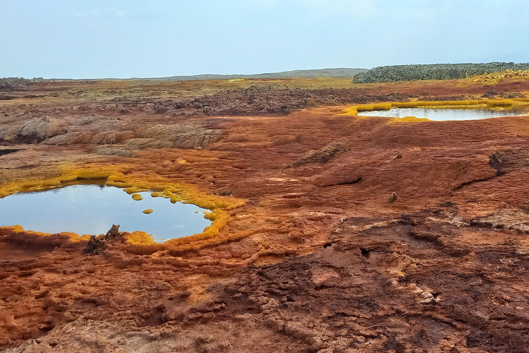 Depresja Danakil - wulkan Dallol-Ertale - wycieczka do Afar w Etiopii