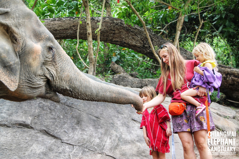 Experiência exclusiva de meio dia com animais gigantes da família