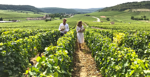Von: Dijon/Beaune: Tour durch die Weingüter der Region Burgund mit Mittagessen