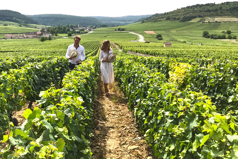 From: Dijon/Beaune: Burgundy Region Winery Tour with Lunch From Dijon