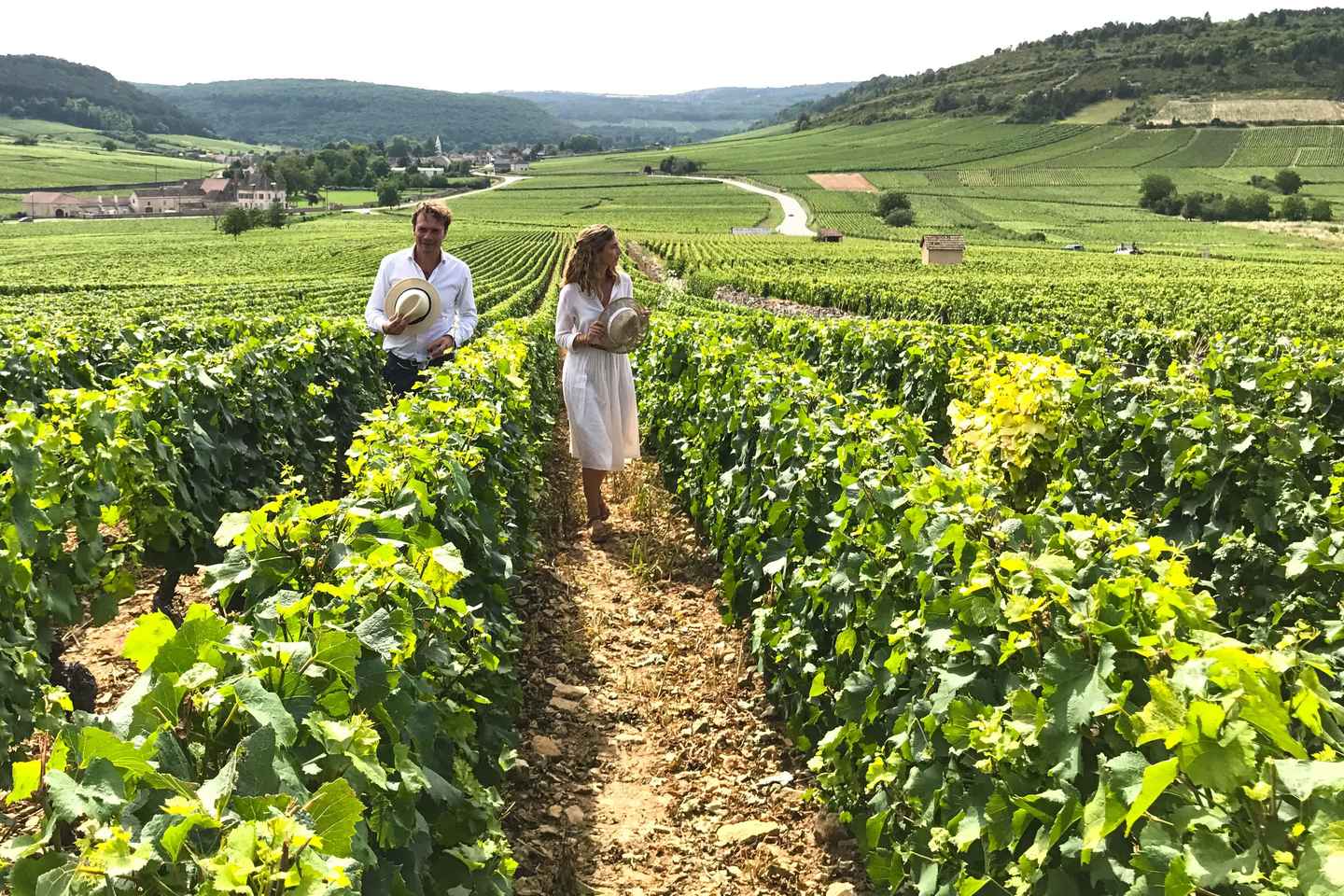 Da Digione/Beaune: Tour Cantine Borgogna con Pranzo