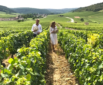 From: Dijon/Beaune: Burgundy Region Winery Tour with Lunch