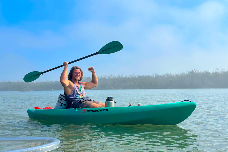 Bonita Springs Clear Kayak Tour with Dolphins & Manatees Crescent Tandem Kayak