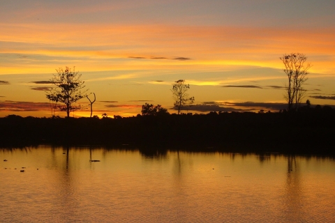Z Iquitos: 3-dniowa wycieczka do Rezerwatu Narodowego Pacaya Samiria