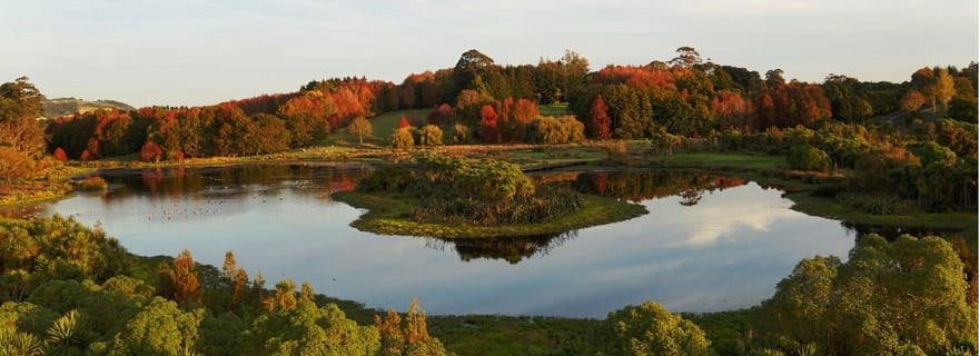 Visite de la nature à Auckland