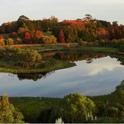 Visite de la nature à Auckland