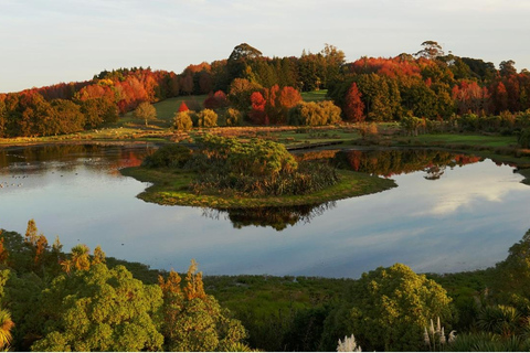 Visite de la nature à Auckland