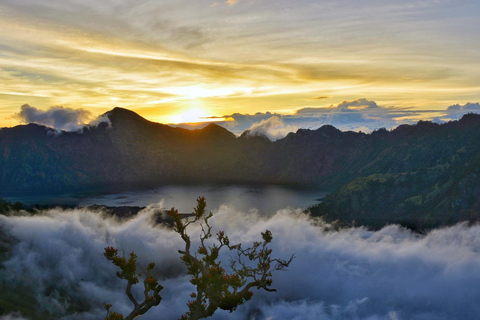 From Bali : Ijen Crater Tour From Canggu, Kuta, Bali