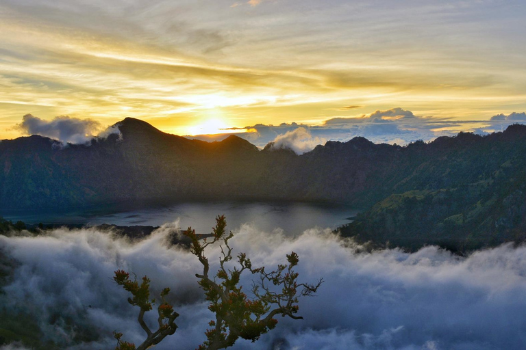 From Bali : Ijen Crater Tour From Canggu, Kuta, Bali