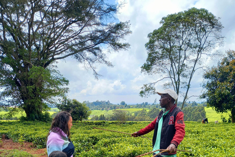 Nairobi: excursão de meio dia a uma fazenda de chá com almoço e degustação de chá.Nairóbi: Passeio de meio dia para tomar chá com almoço e degustação de chá.