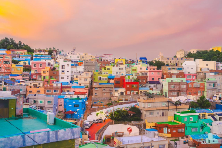 Busan Night - Guided Tour with Professional Photographer Busan Night - Guided Tour with Professional Photographer