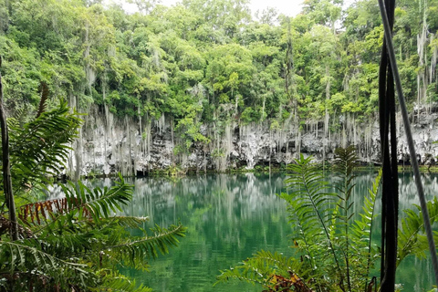 Excursion d&#039;une journée à Saint-Domingue depuis Punta Cana avec prise en charge à l&#039;hôtel