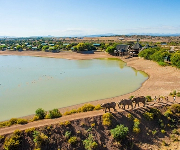 From Cape Town: South African Wildlife and Safari 2-Day Tour