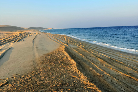 Doha:Inland sea Desert Safari Qatar, Dune Bashing ExperienceGemeinsame Tour mit Wüstensafari, Kamelritt und Binnenseebesuch