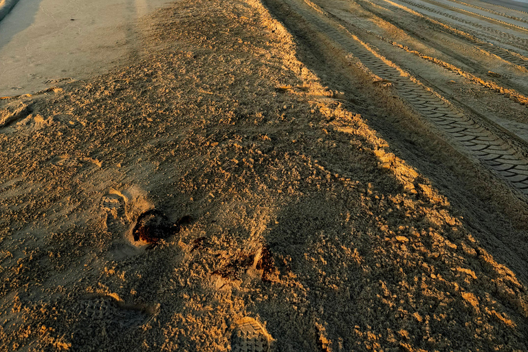 Doha:Inland sea Desert Safari Qatar, Dune Bashing ExperienceGemeinsame Tour mit Wüstensafari, Kamelritt und Binnenseebesuch