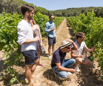 Avignone: Tour di un giorno intero dei vini di Châteauneuf du Pape e del Luberon