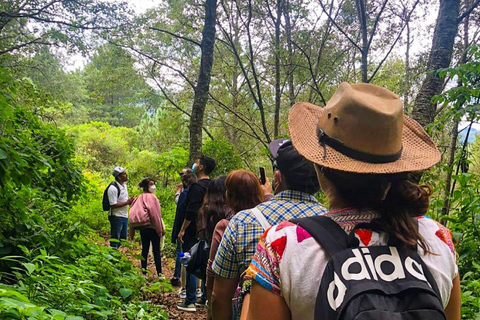 From Oaxaca: Hierve el Agua, Mitla, Tule Tree &amp; Mezcal Tour