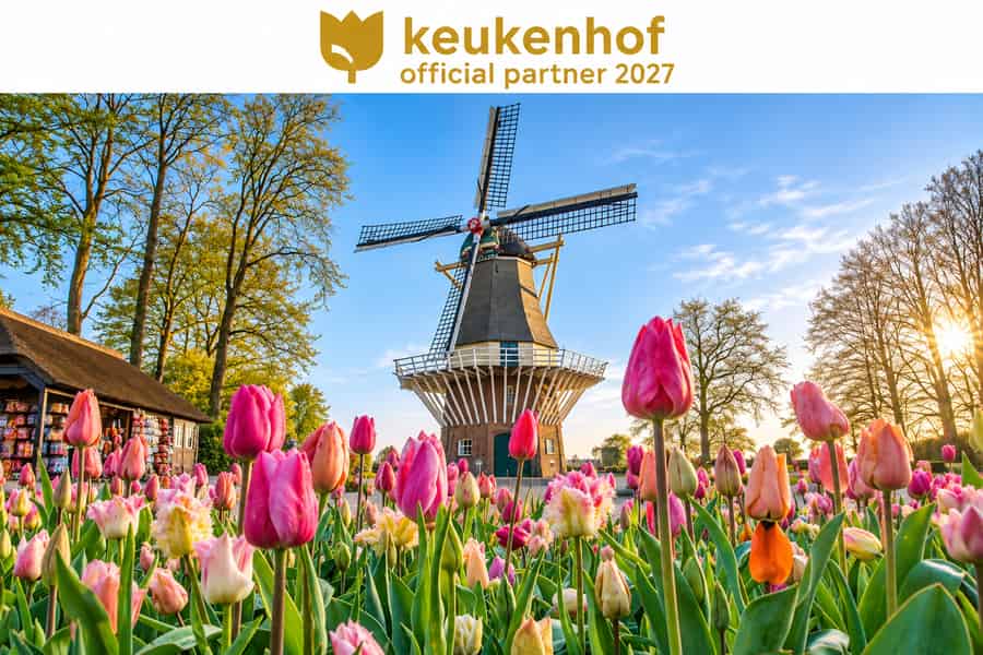 Shuttlebus vom Flughafen Amsterdam Schiphol zum Keukenhof & Eintritt. Foto: GetYourGuide Shuttlebus vom Flughafen Amsterdam Schiphol zum Keukenhof & Eintritt. Foto: GetYourGuide