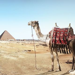 Hurghada: 2-Days Tour of Cairo with Nile Cruise and Pyramids