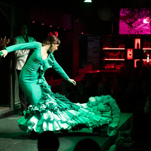 Barcelona: Flamenco Show with Drink at La Rambla