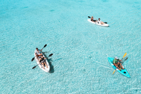 Mauritius: Geführte Kajaktour zur Insel BenitiersMauritius: Kajaktour auf der Insel Benitiers