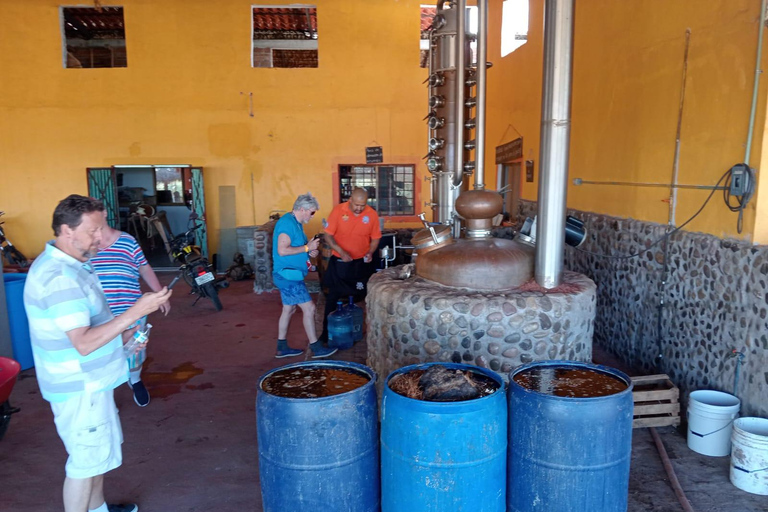 Mazatlan: Mezcal Factory Tour with Tasting and Lunch