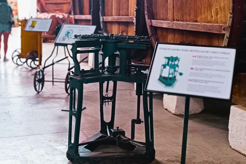 Visite de la cave Tacama - Tour Don Manuel avec dégustationVisite du vignoble Tacama - Don Manuel et dégustation