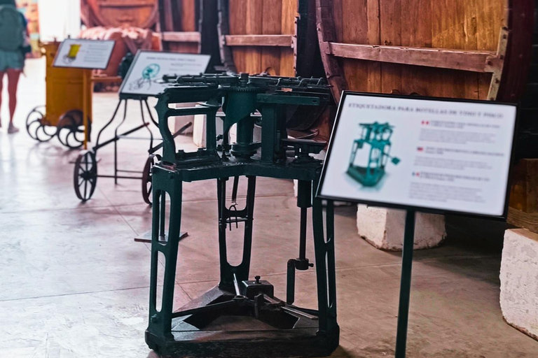 Visite de la cave Tacama - Tour Don Manuel avec dégustationVisite du vignoble Tacama - Don Manuel et dégustation