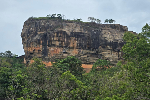 Kandy: Polonnaruwa, Sigiriya & Dambulla Private Tour