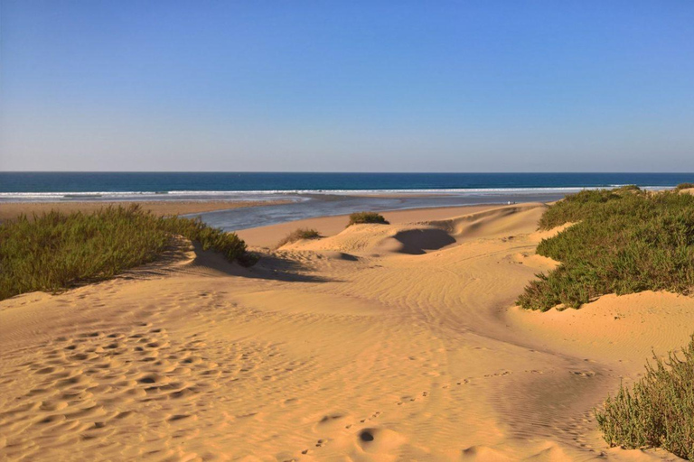 Agadi: Excursión de un día al desierto del Sahara con almuerzo