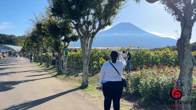 Visit Fuji Yamanaka Lake. Oshino Hakkai and Local Noodles in Fuji