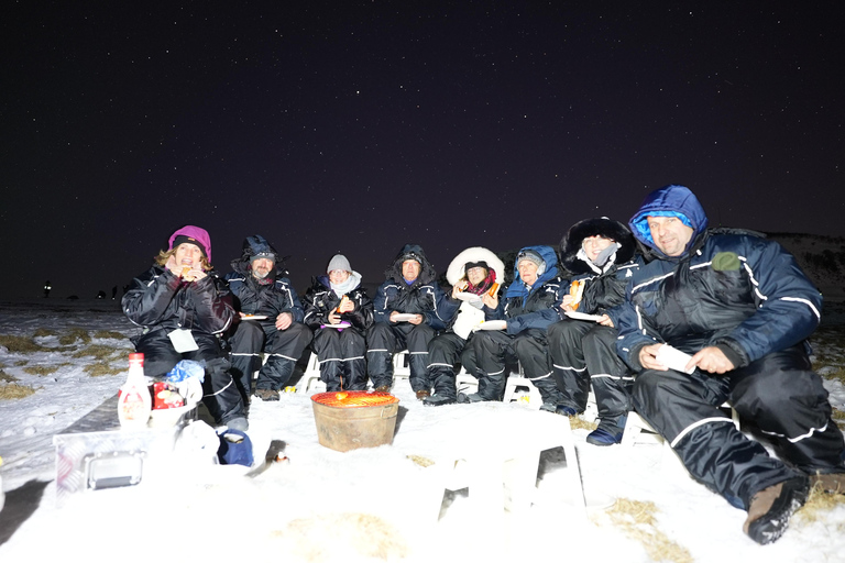 Depuis Tromsø : Tour des aurores boréales en minibus avec photos