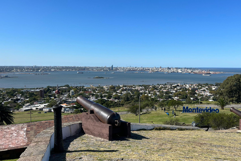 Montevideo skräddarsydd privat tur (elektrisk SUV eller BMW)